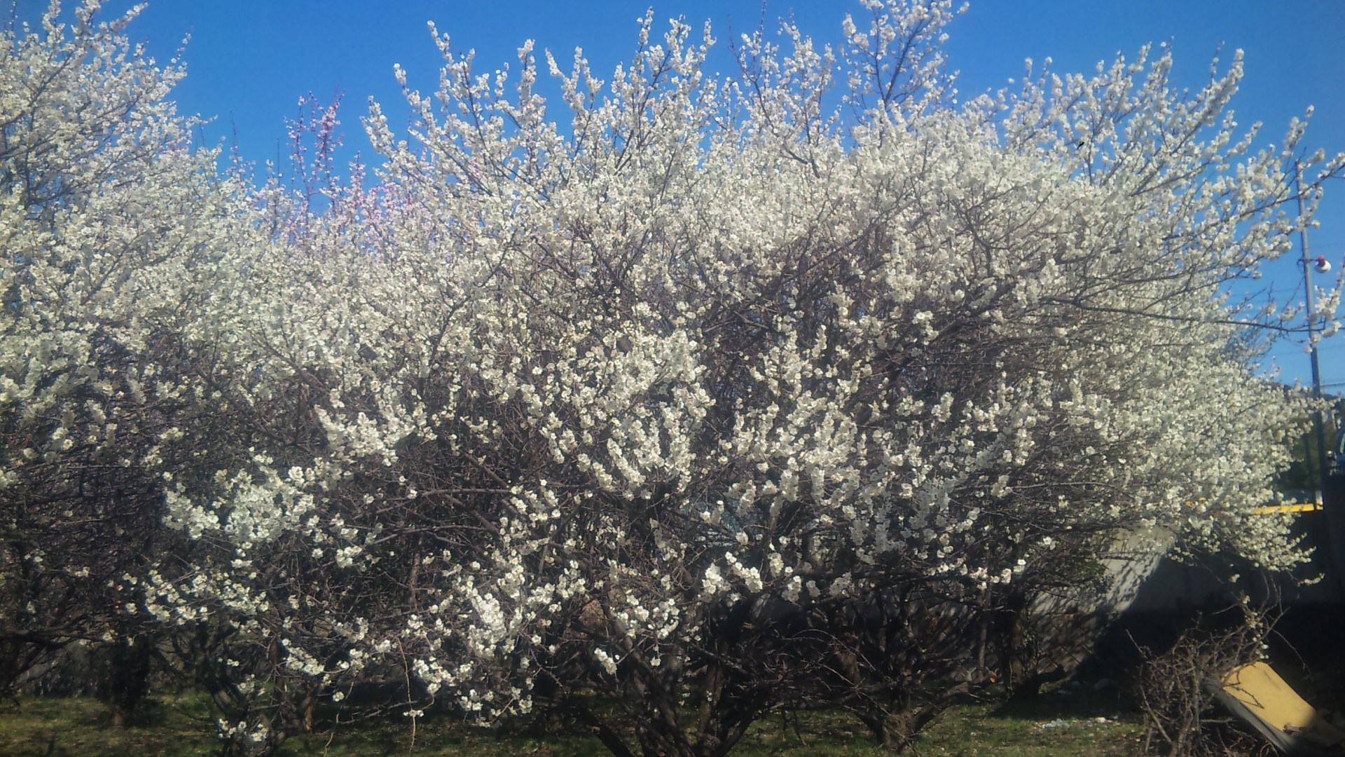 高橋友也の独り言