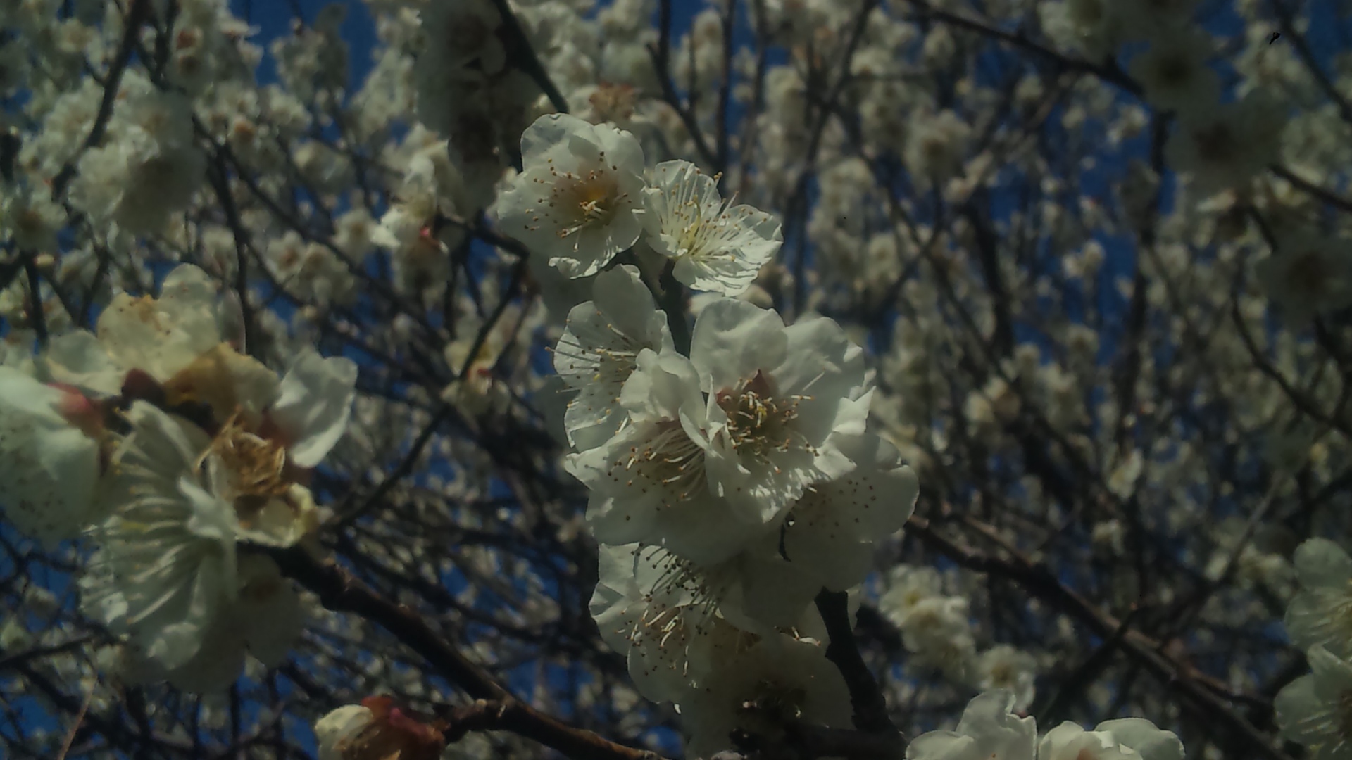 高橋友也の独り言