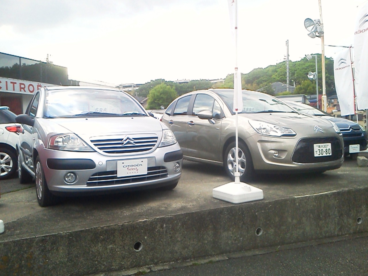 きれいきれい♪