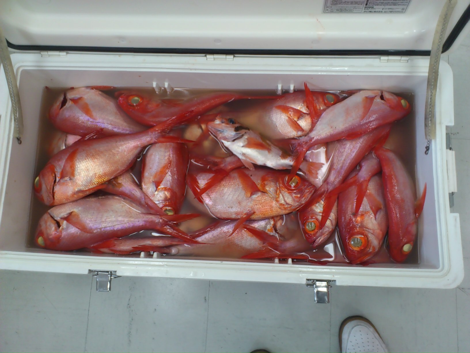 休日返上で仕事しました