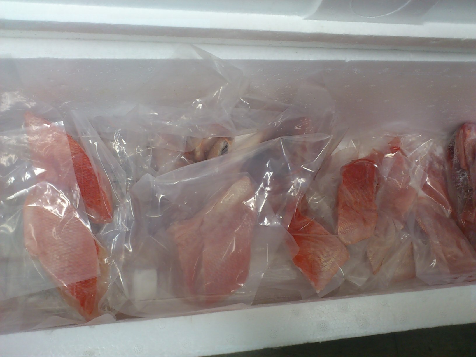 休日返上で仕事しました