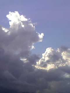 sora   ~見上げてみて～