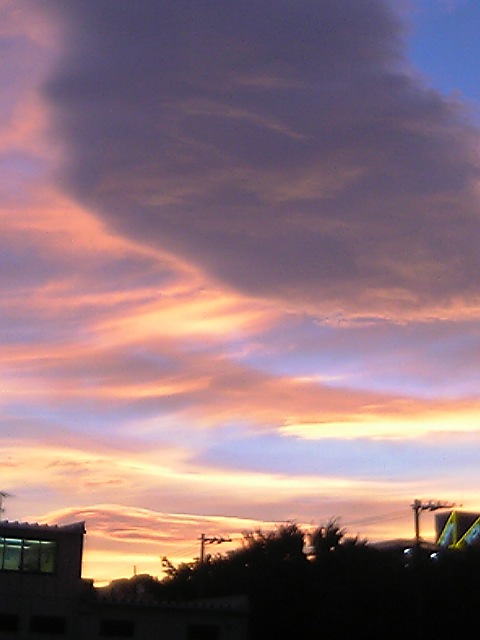 sora   ~見上げてみて～