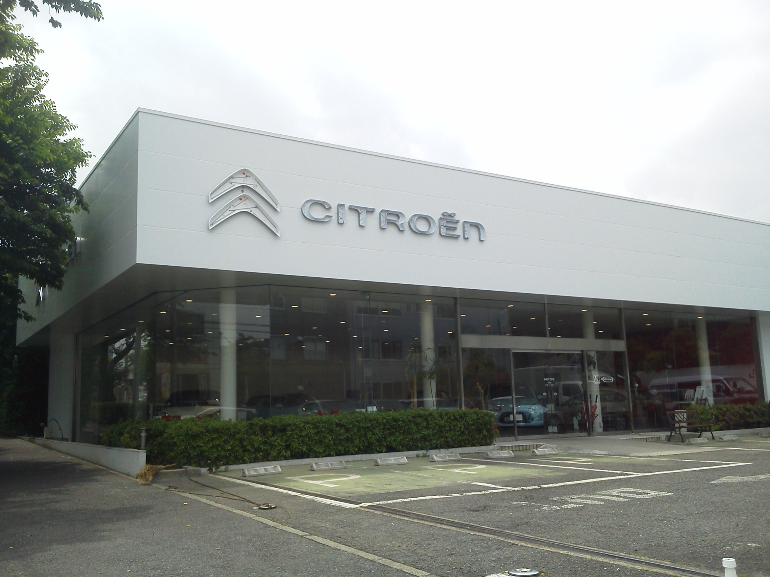 ダブル・シェヴロン