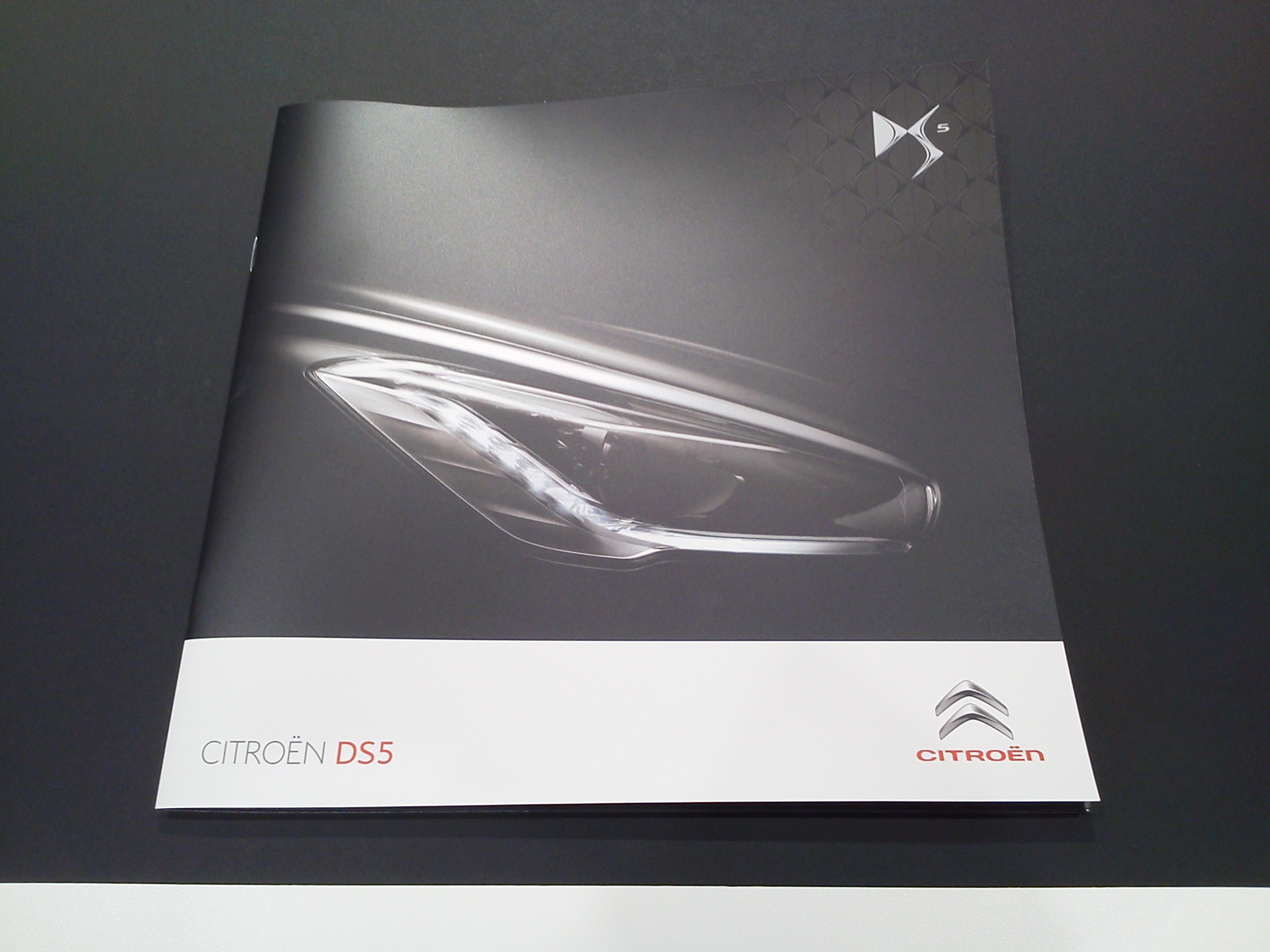 ＤＳ５について