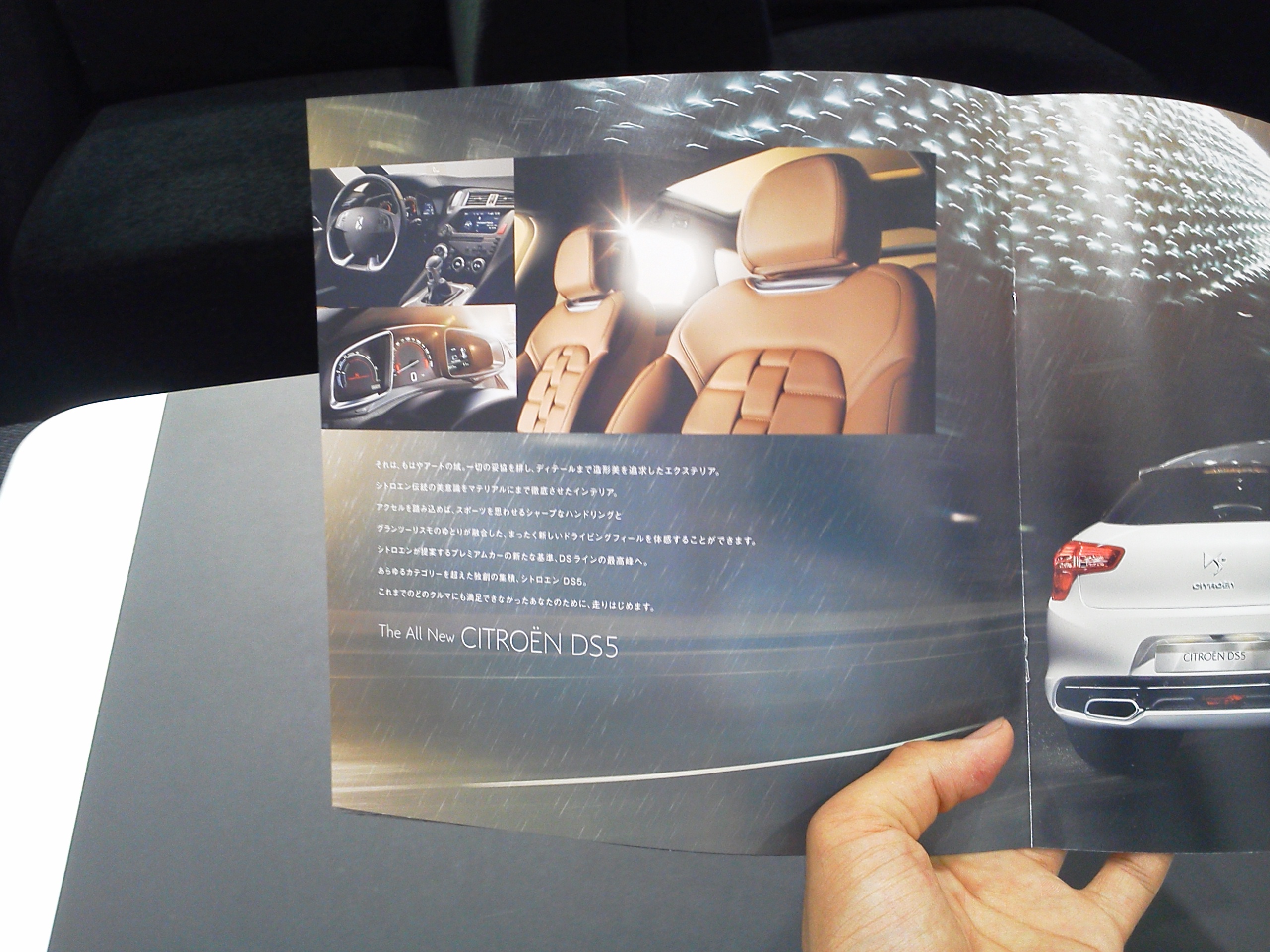 ＤＳ５について