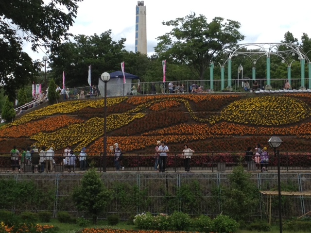 相模原市麻溝公園あじさい祭り