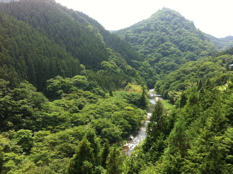 鈴木　IN　福島
