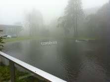 DS5研修に行ってきました。