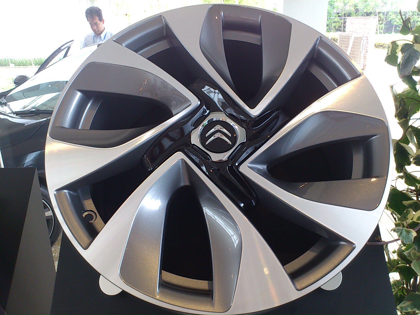 ＤＳ５予約受付開始！　ブログ読者様限定サービスはブログの最後に！　（後編）