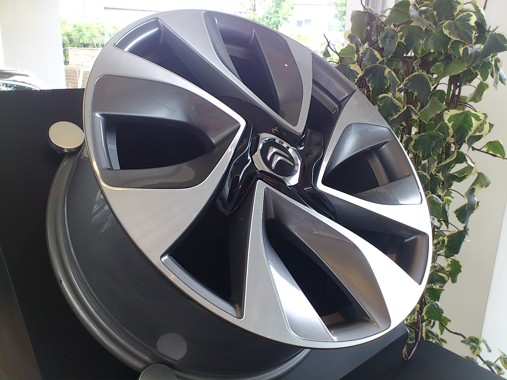 ＤＳ５予約受付開始！　ブログ読者様限定サービスはブログの最後に！　（後編）