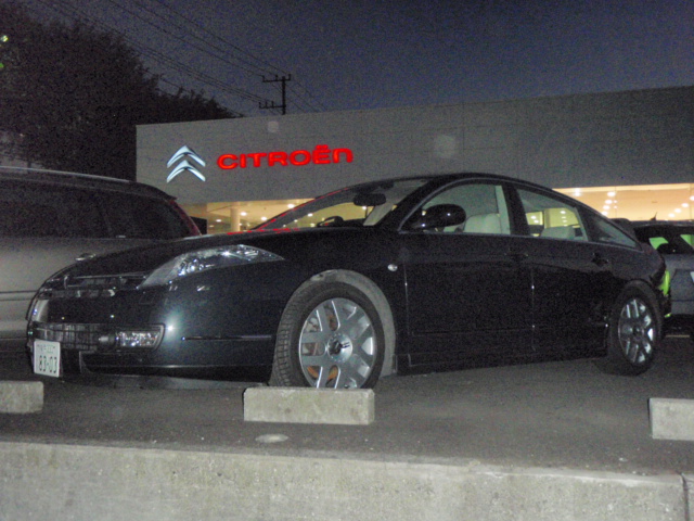 C6お探しの方いませんか