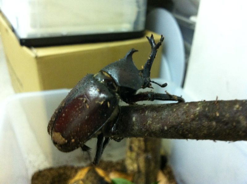 飛び出せ夏休み！集まれ子供たち！