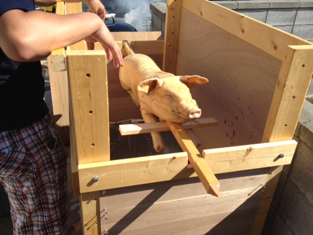 バーベキュー！