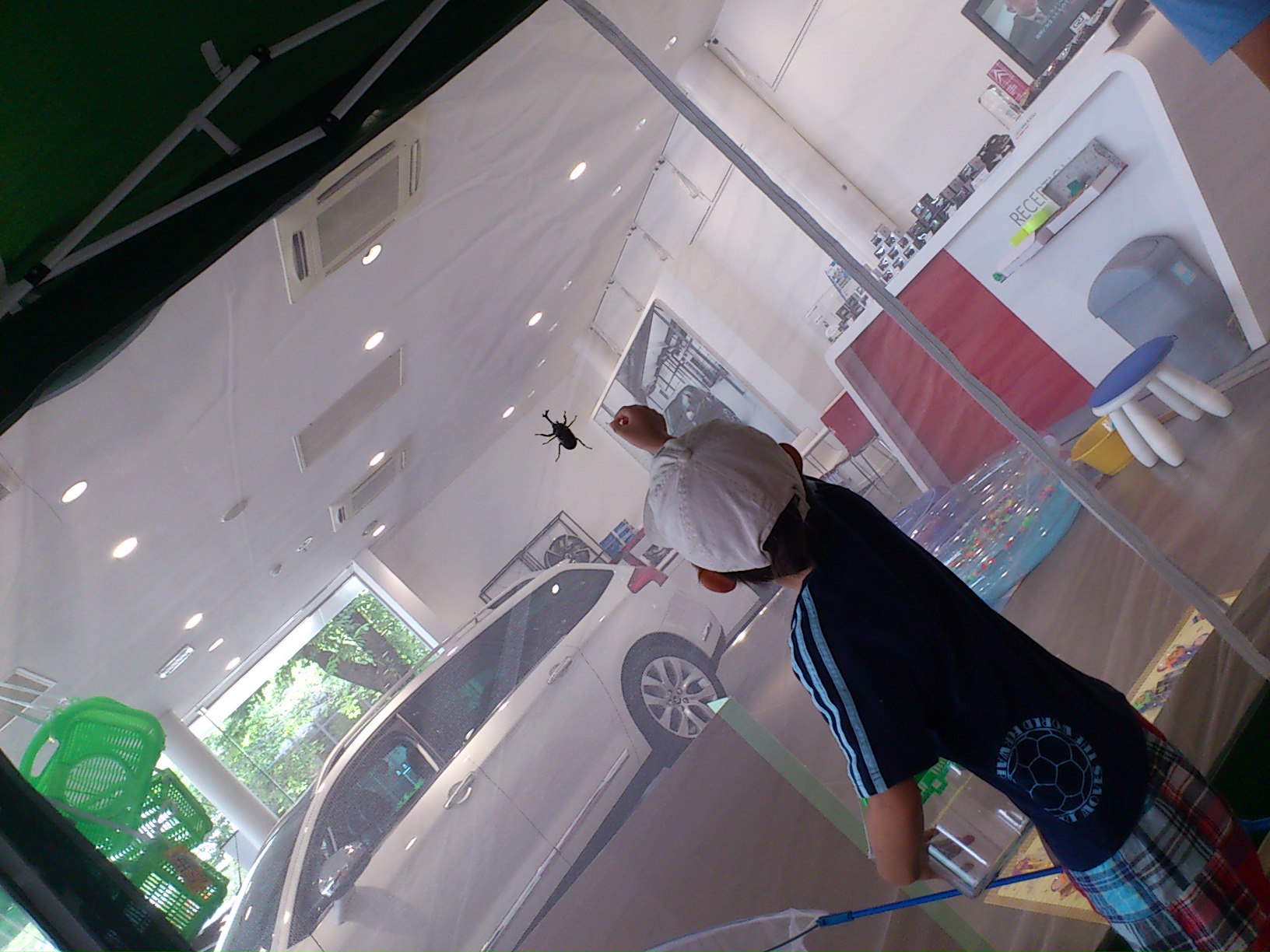 飛び出せ夏休み！カブトムシ掴み取り！