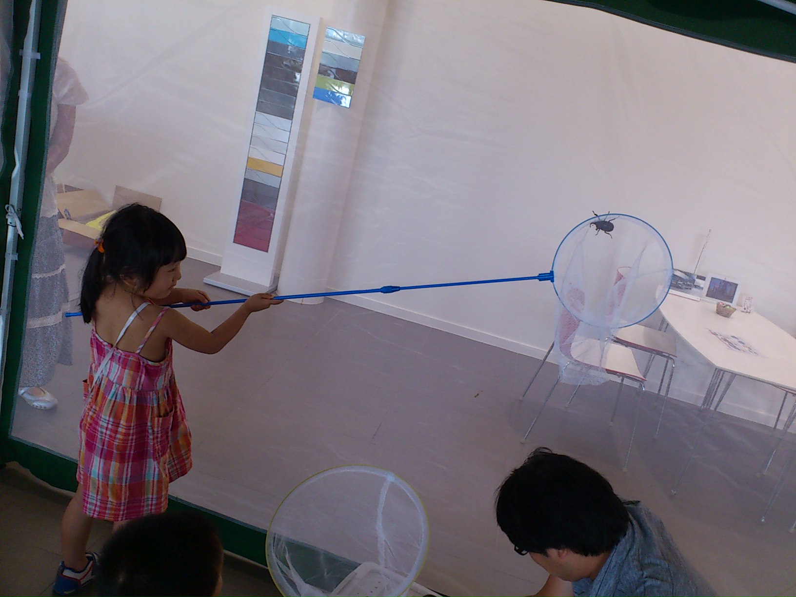 飛び出せ夏休み！カブトムシ掴み取り！