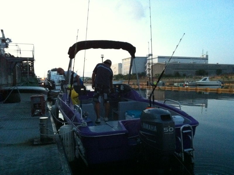 ガメラ、太平洋に現れる！？