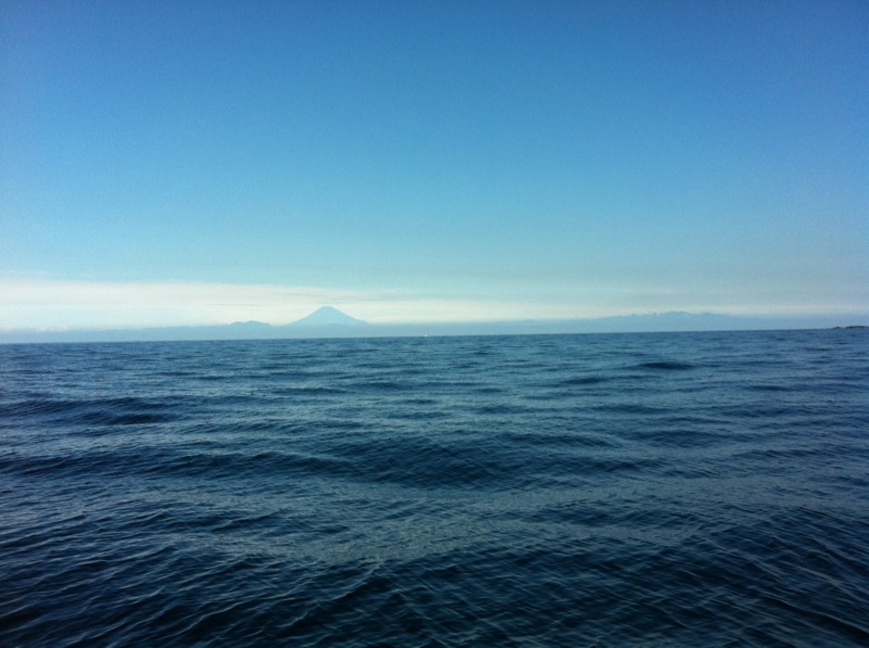 ガメラ、太平洋に現れる！？