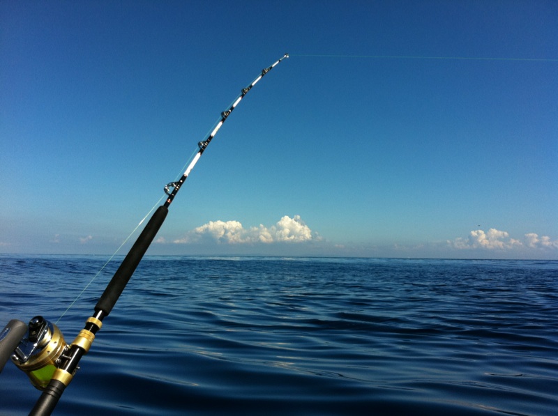 ガメラ、太平洋に現れる！？