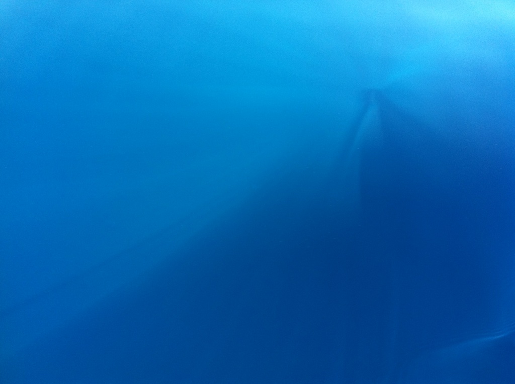 ガメラ、太平洋に現れる！？