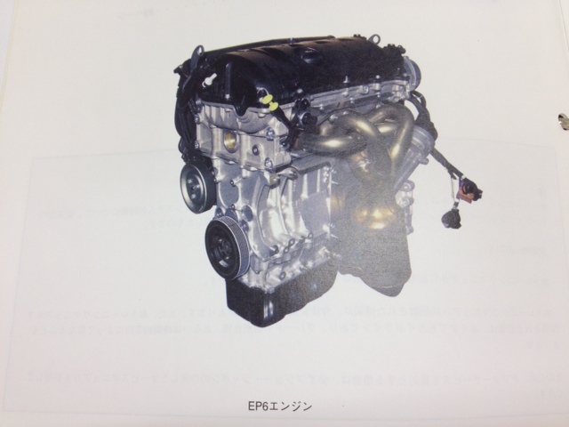 メーカー研修＆我が家の猫