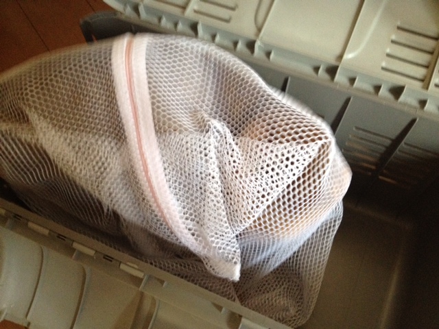 メーカー研修＆我が家の猫