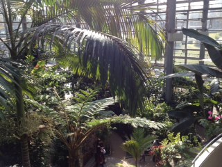 相模原公園　オータムフェスタ