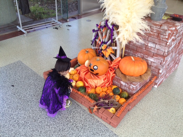 相模原公園　オータムフェスタ