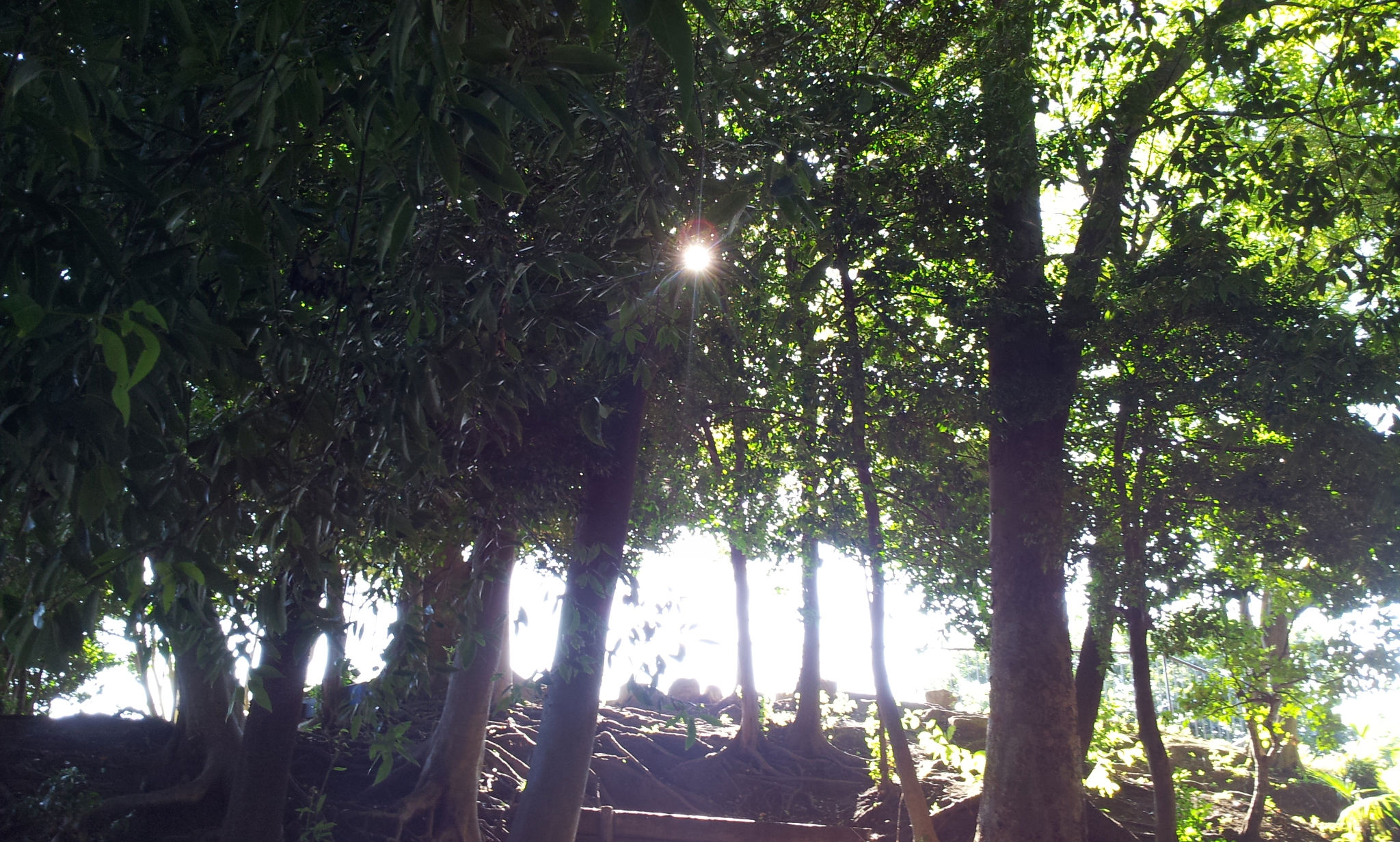 終りなき・・・。