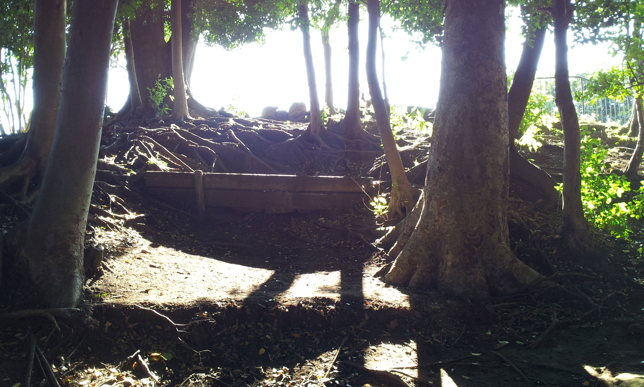 終りなき・・・。