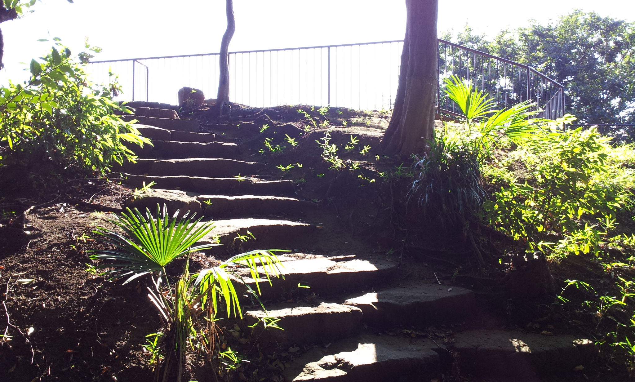 終りなき・・・。