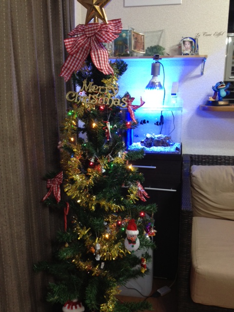 クリスマスの準備！