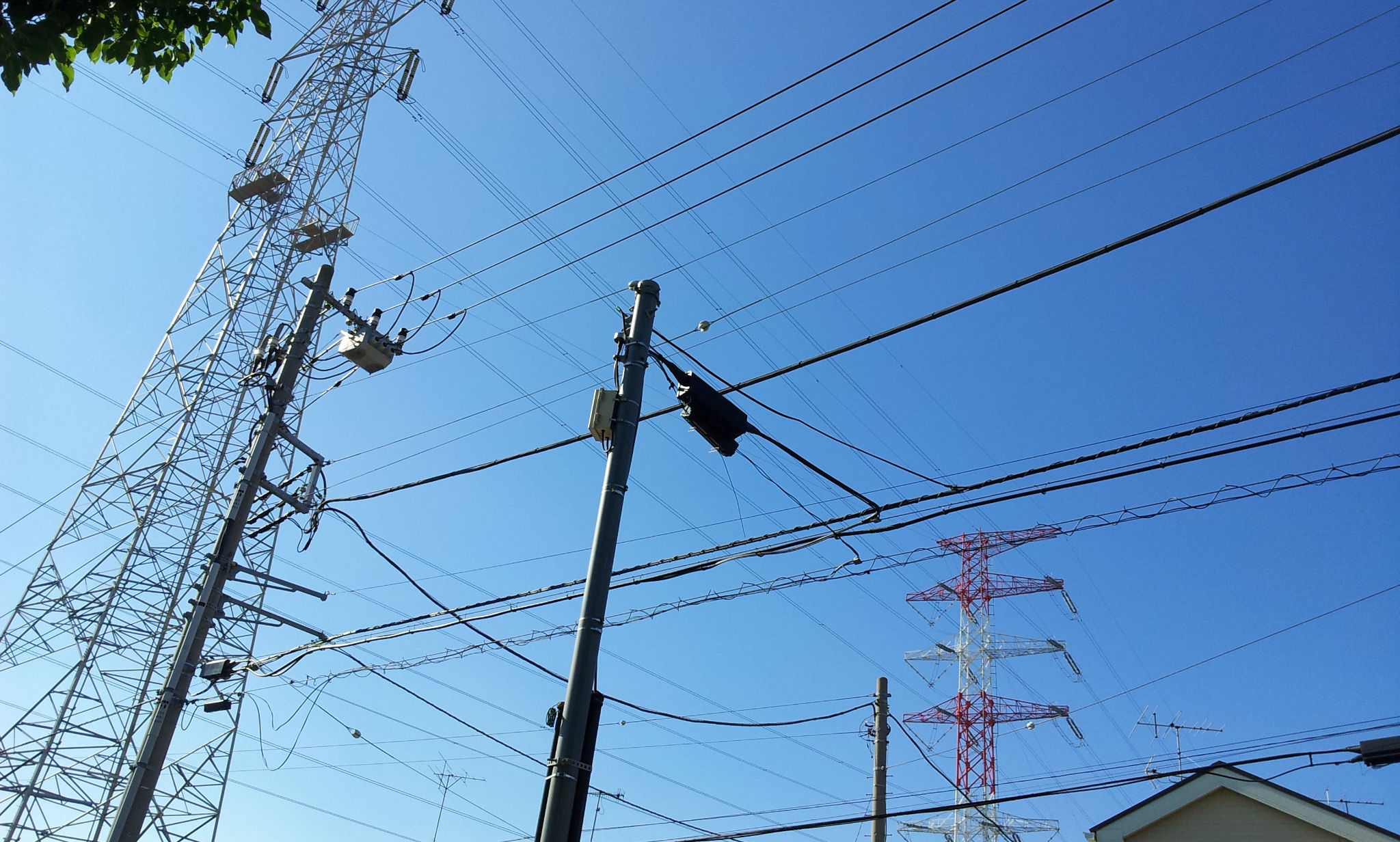 日向ぼっこの帰り道