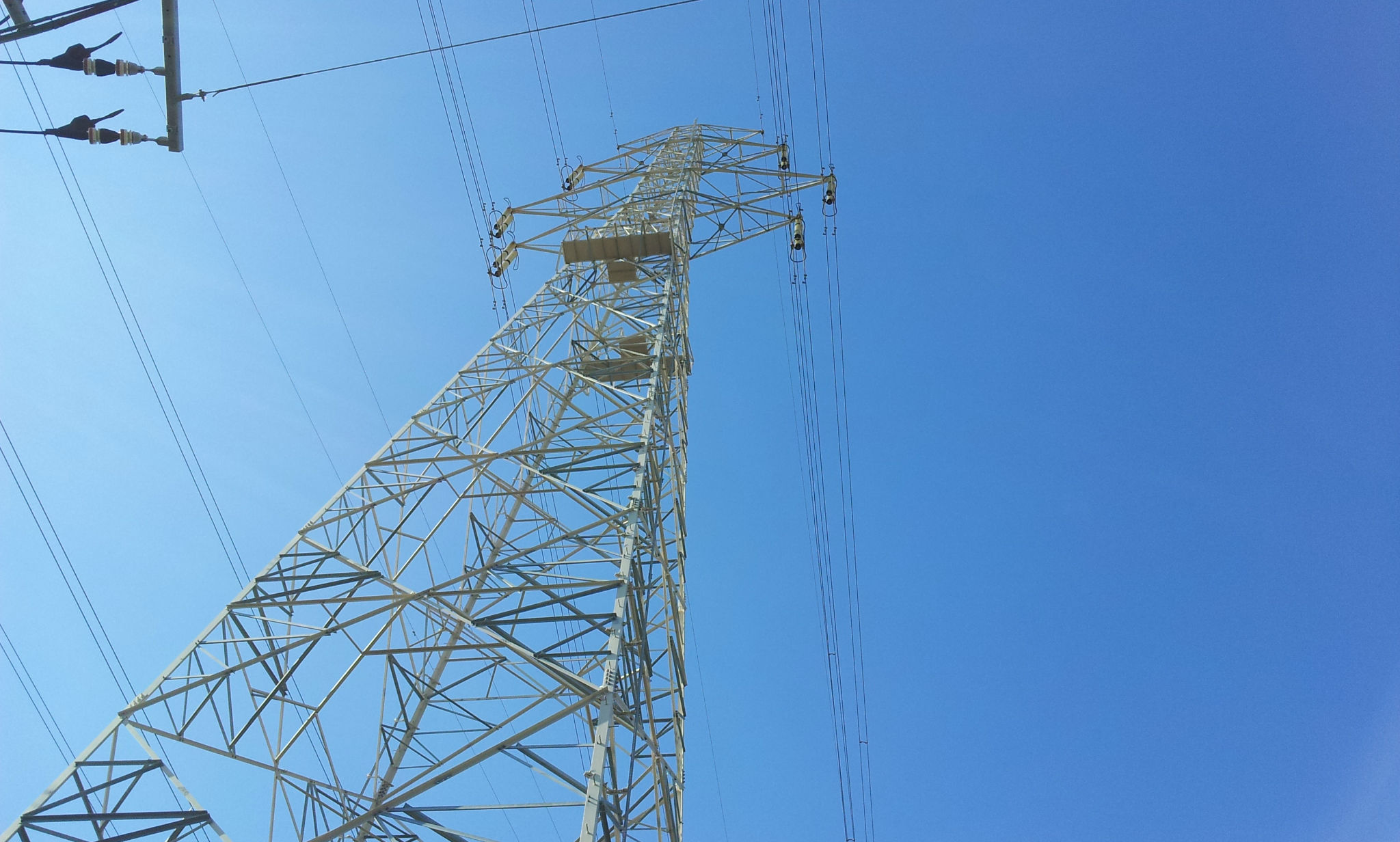 日向ぼっこの帰り道