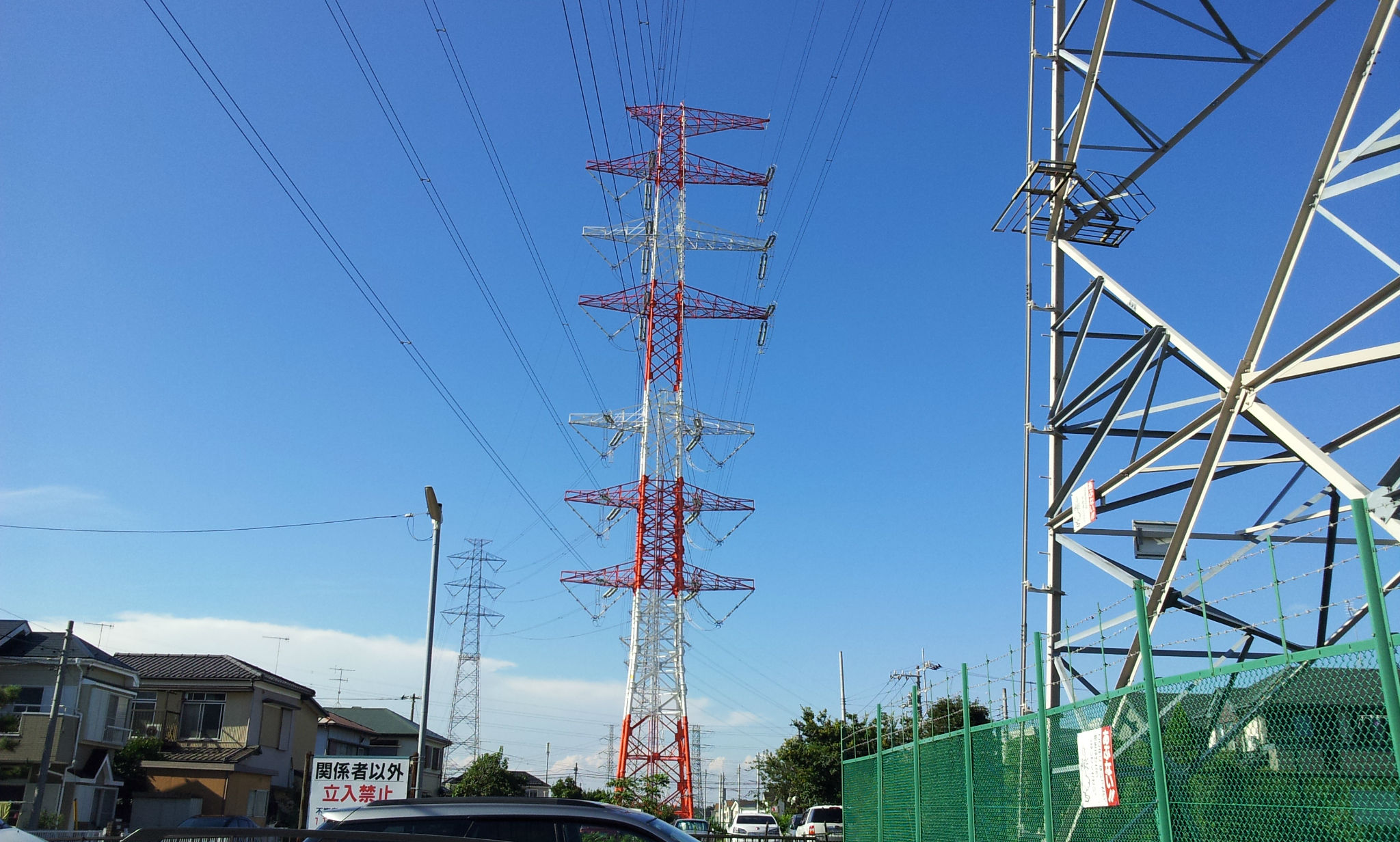 日向ぼっこの帰り道