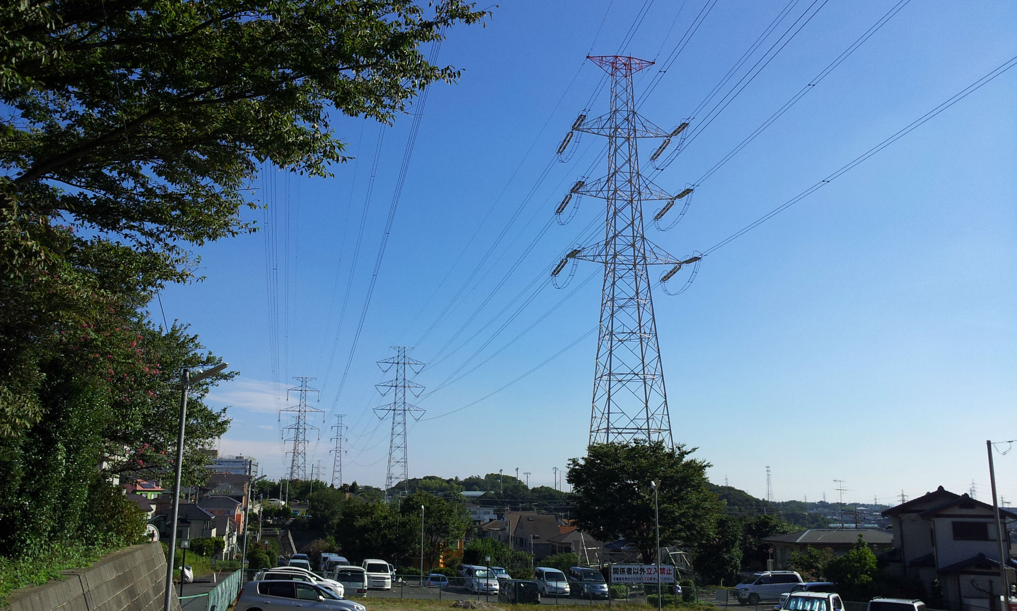 日向ぼっこの帰り道