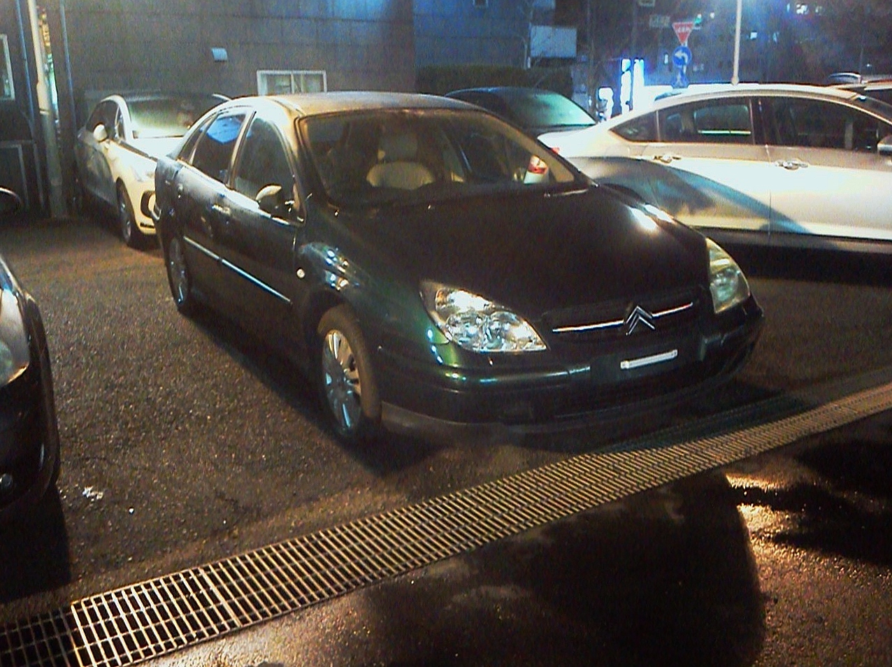 ここまで並ぶとすごいなぁ