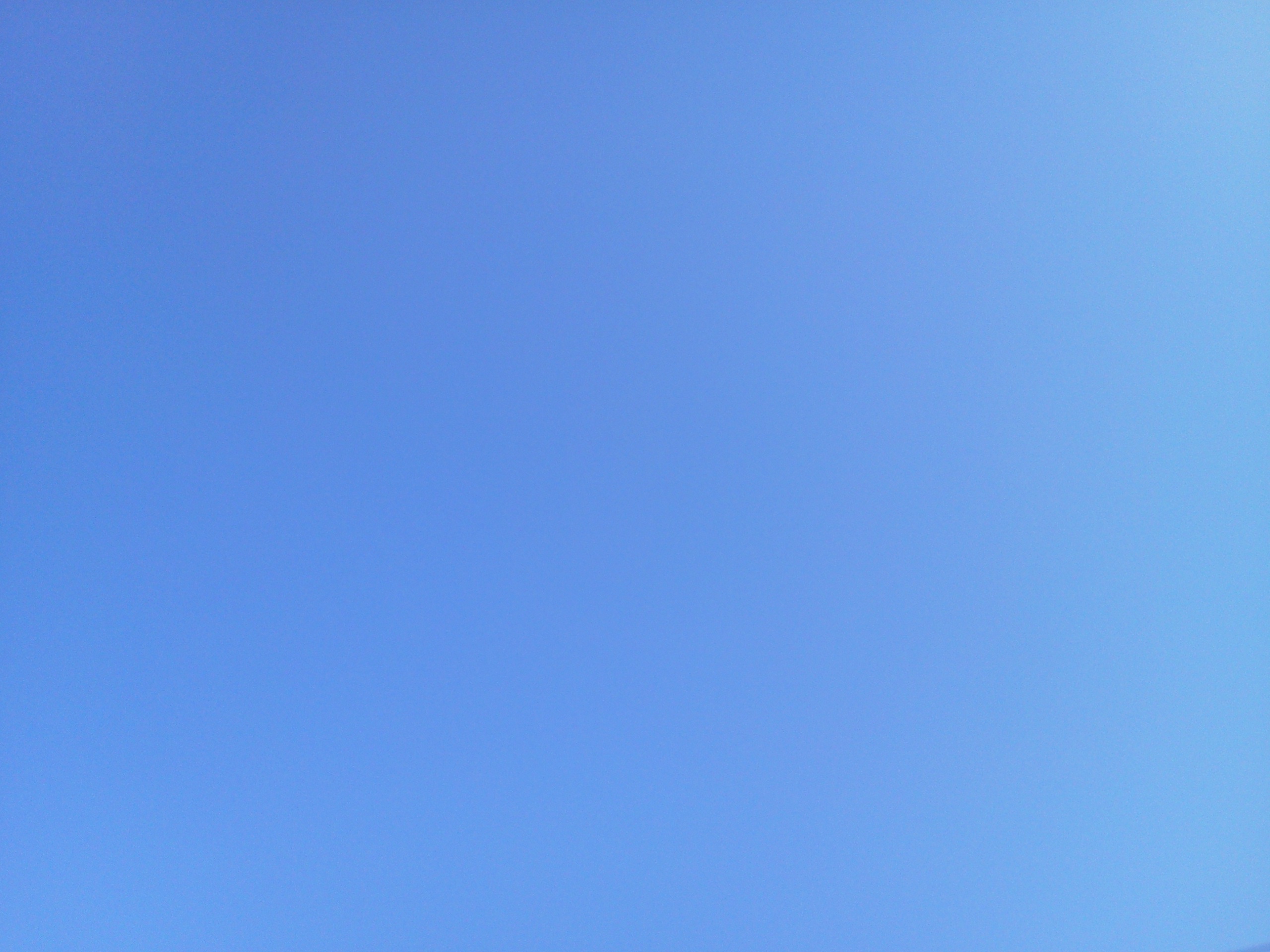 空が青かったから・・・こっちも青かったから