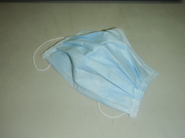 花粉にも負けず