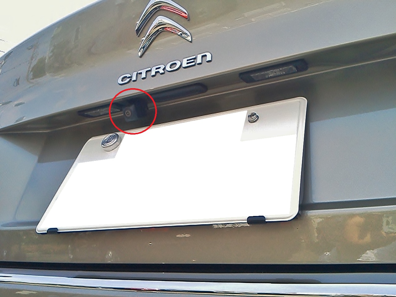 C5 Exclusive 何ということでしょう