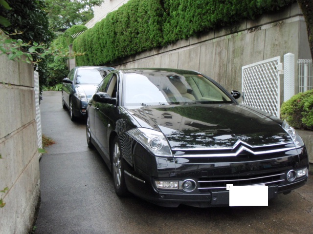 ありがとうございました。