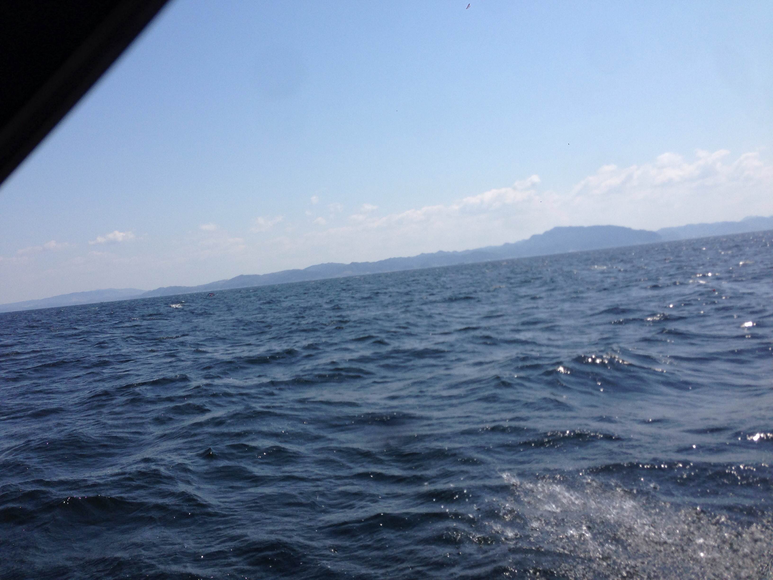 ☆チーム Blue Water 2014 始動☆