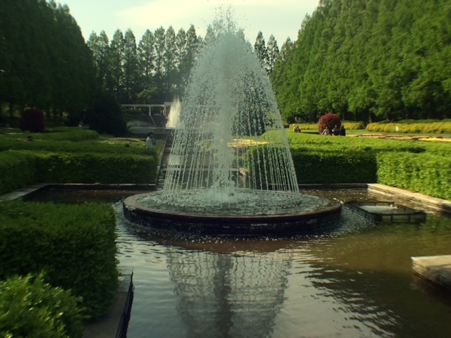 ゴールデンウィークに近くの公園へ