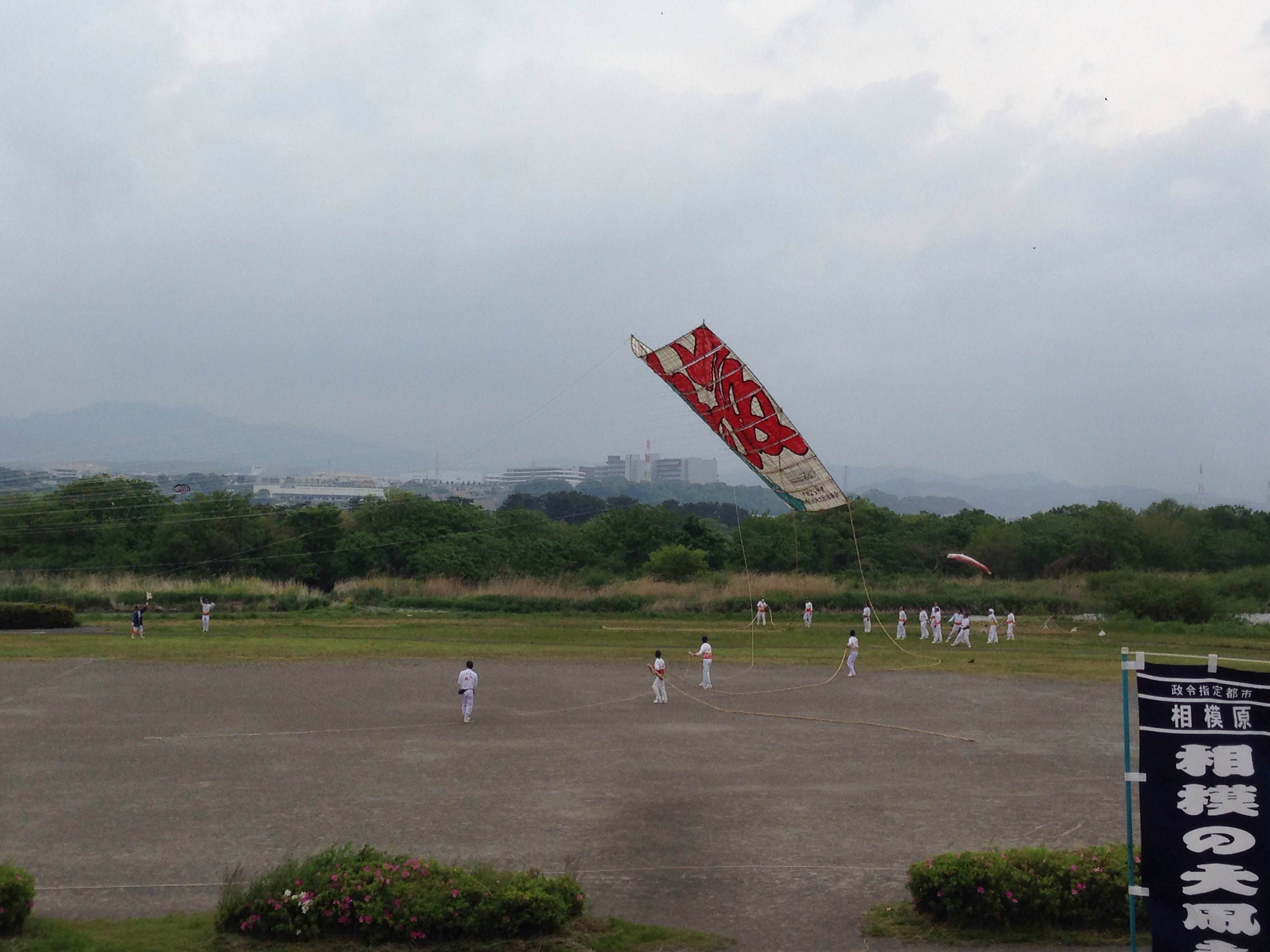 ☆相模の大凧祭り☆