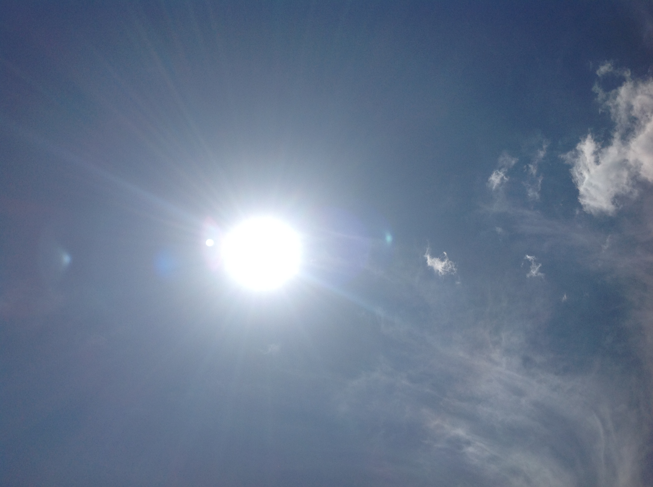 突然の訪問客＾＾