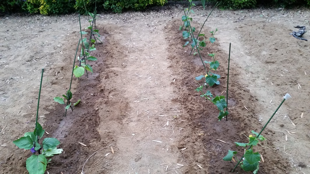 志村　清孝の独り言