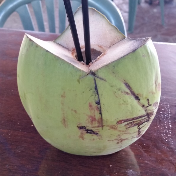 志村　清孝の独り言