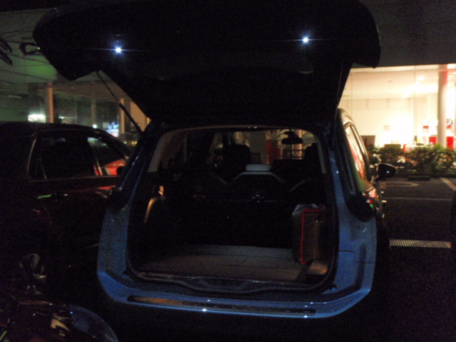 C4 Picasso オプション　LEDバルブ