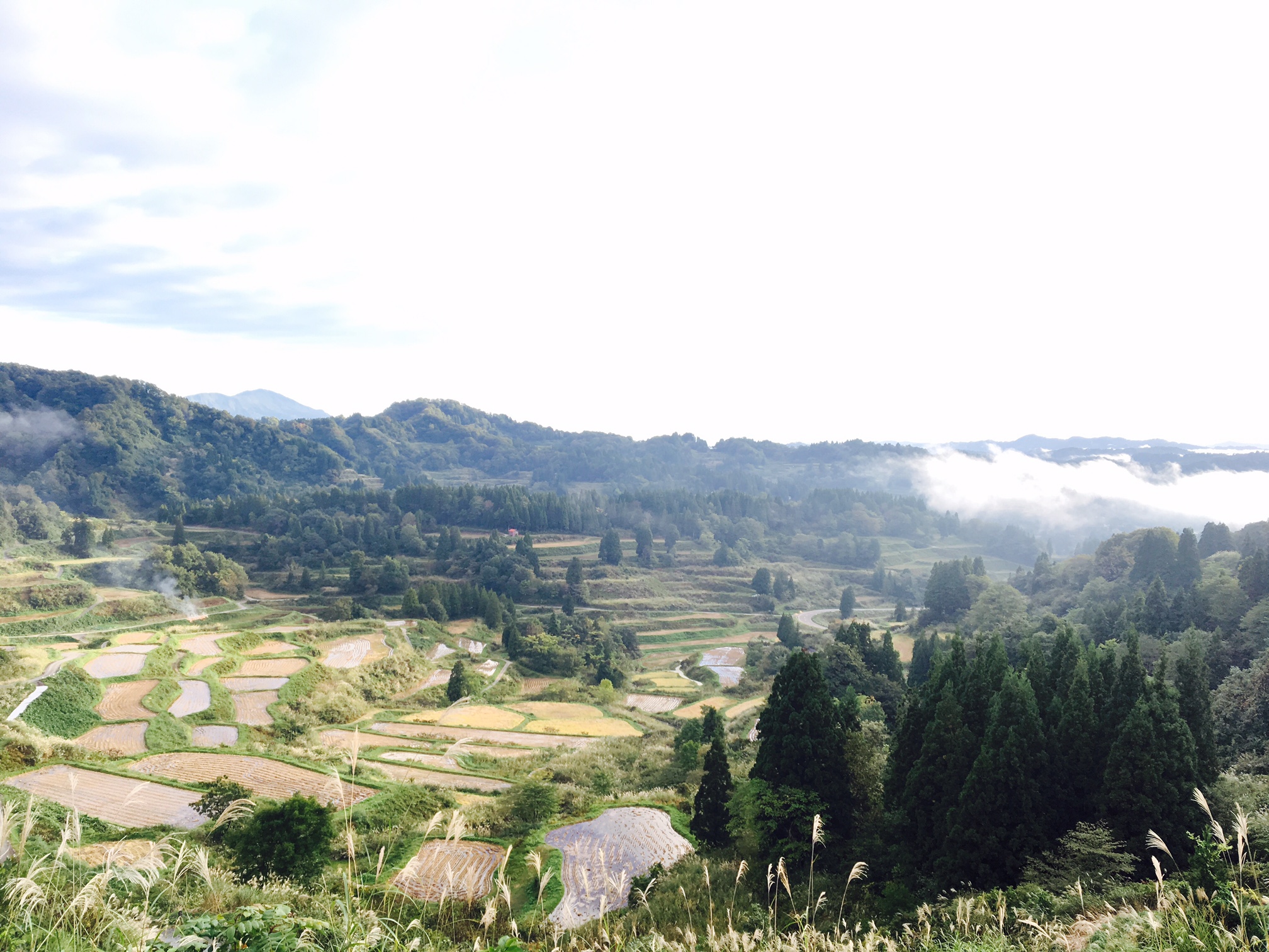 C4と休日のドライブ！