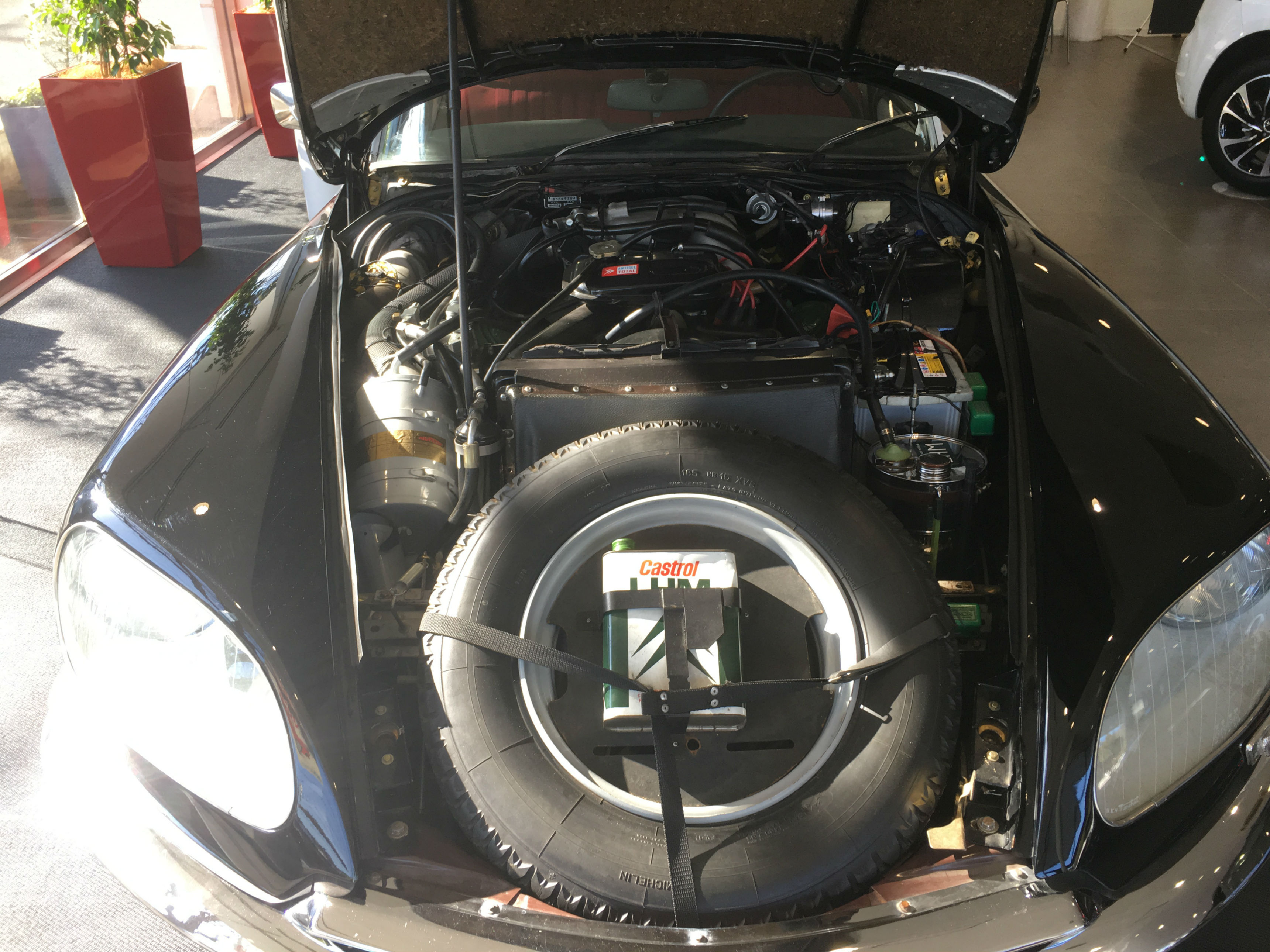 お好きな方には「お年玉」ですね